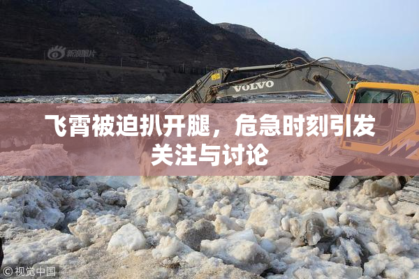 飞霄被迫扒开腿，危急时刻引发关注与讨论