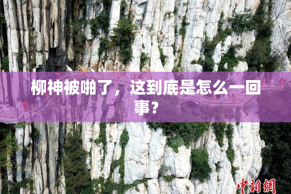 柳神被啪了，这到底是怎么一回事？