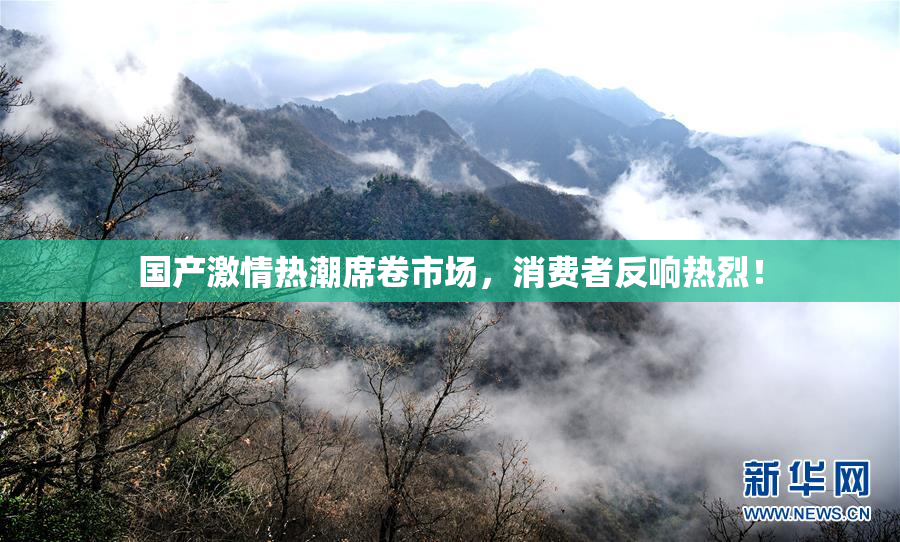 国产激情热潮席卷市场，消费者反响热烈！
