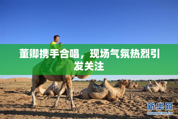 董卿携手合唱，现场气氛热烈引发关注