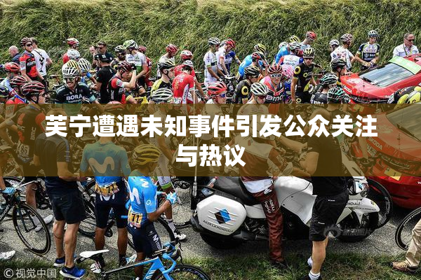 芙宁遭遇未知事件引发公众关注与热议