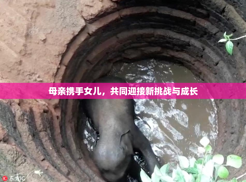 母亲携手女儿，共同迎接新挑战与成长