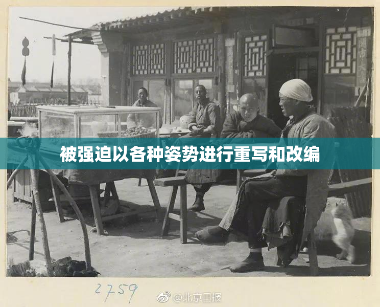 被强迫以各种姿势进行重写和改编