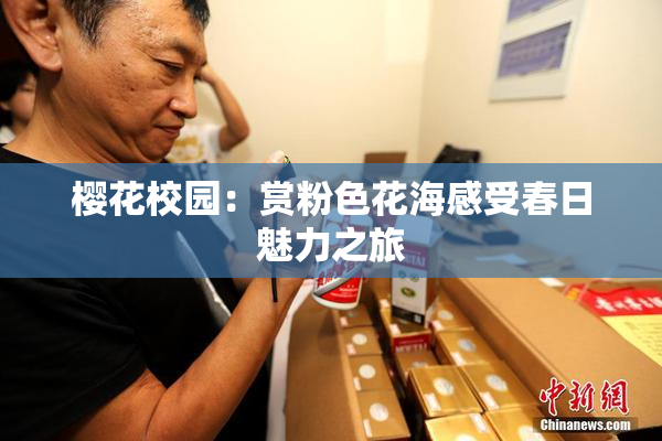 樱花校园：赏粉色花海感受春日魅力之旅