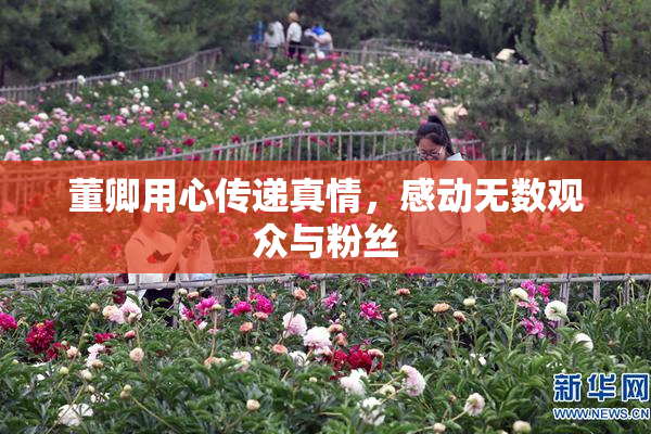董卿用心传递真情，感动无数观众与粉丝