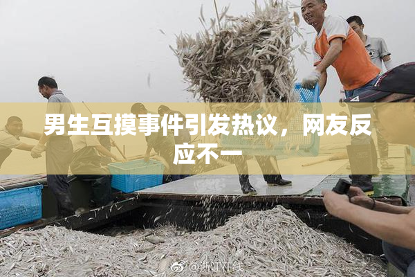 男生互摸事件引发热议，网友反应不一