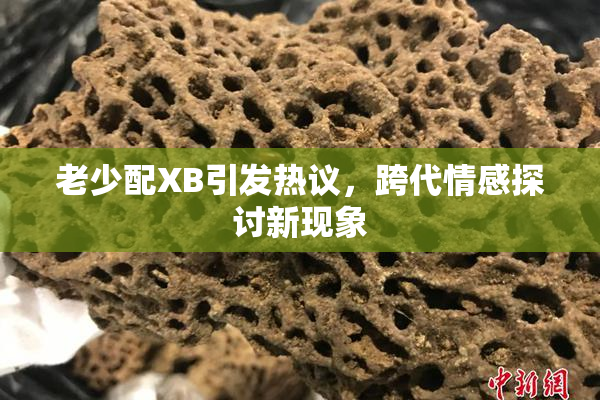老少配XB引发热议，跨代情感探讨新现象