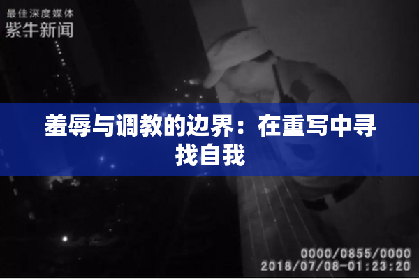 羞辱与调教的边界：在重写中寻找自我