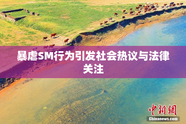 暴虐SM行为引发社会热议与法律关注