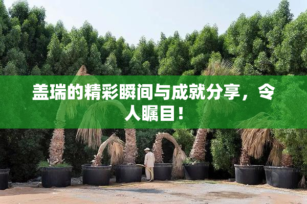 盖瑞的精彩瞬间与成就分享，令人瞩目！