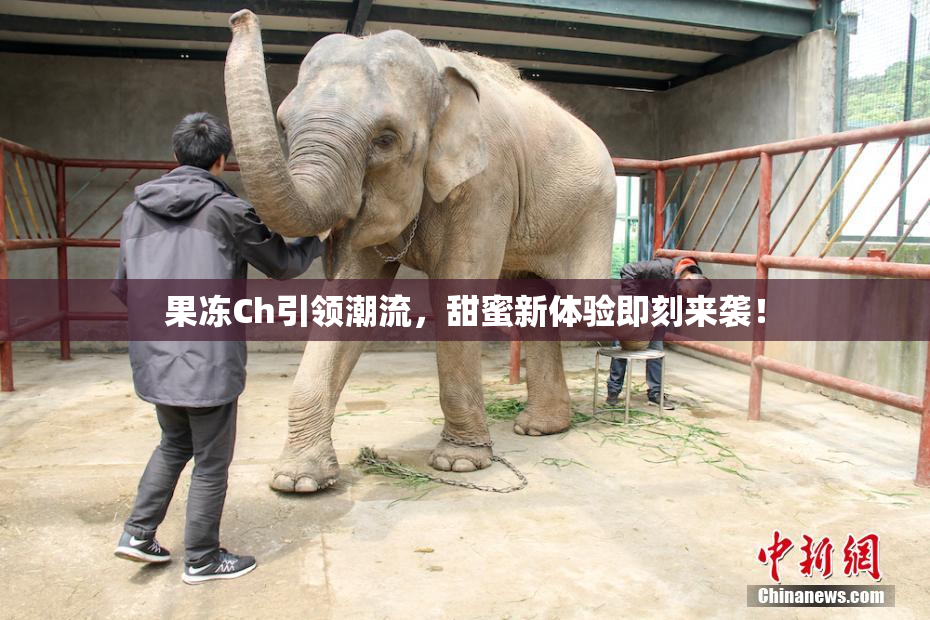 果冻Ch引领潮流，甜蜜新体验即刻来袭！
