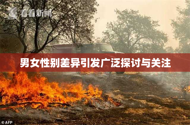 男女性别差异引发广泛探讨与关注