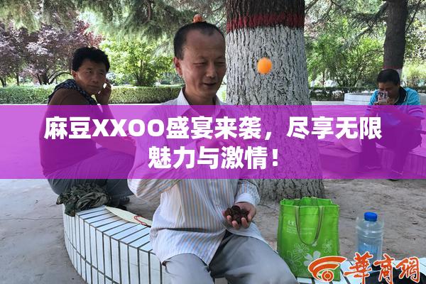 麻豆XXOO盛宴来袭，尽享无限魅力与激情！