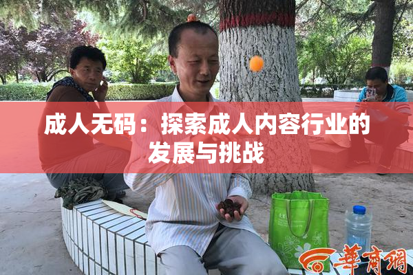 成人无码：探索成人内容行业的发展与挑战