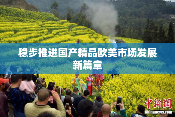 稳步推进国产精品欧美市场发展新篇章