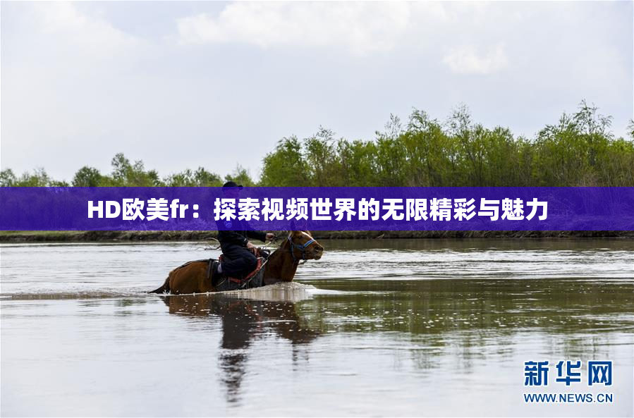 HD欧美fr：探索视频世界的无限精彩与魅力