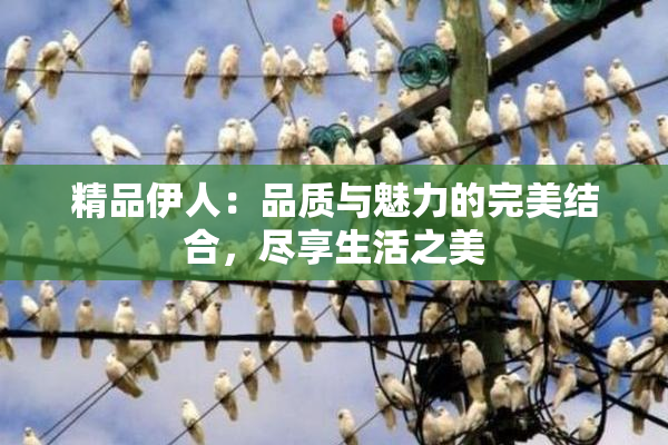 精品伊人：品质与魅力的完美结合，尽享生活之美