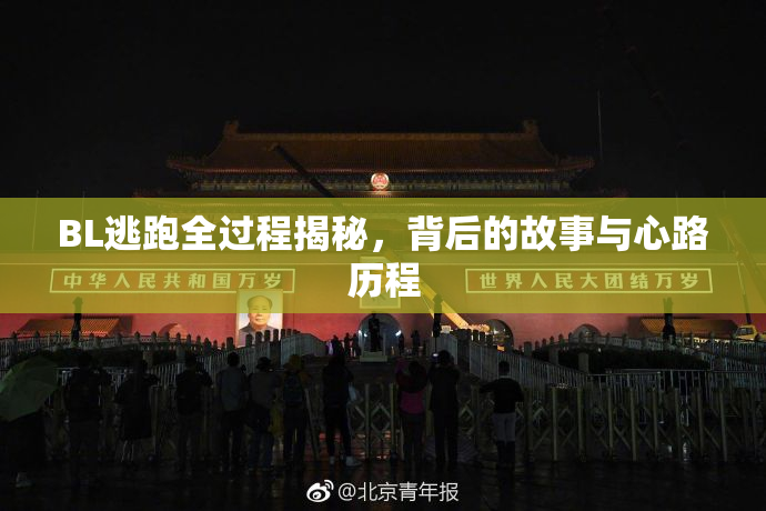 BL逃跑全过程揭秘，背后的故事与心路历程