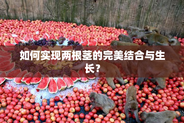 如何实现两根茎的完美结合与生长？