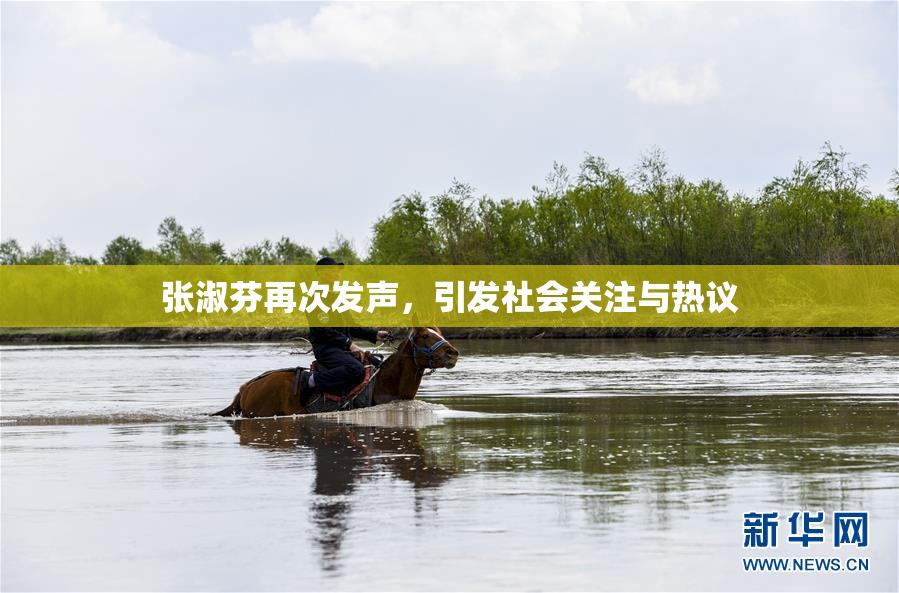 张淑芬再次发声，引发社会关注与热议