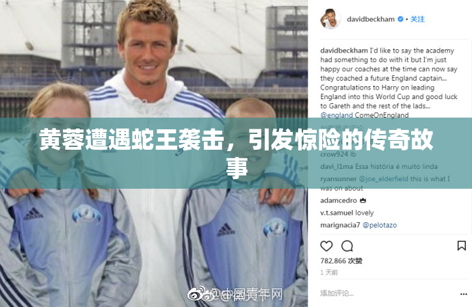 黄蓉遭遇蛇王袭击，引发惊险的传奇故事