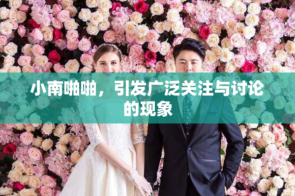 小南啪啪，引发广泛关注与讨论的现象