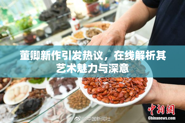 董卿新作引发热议，在线解析其艺术魅力与深意