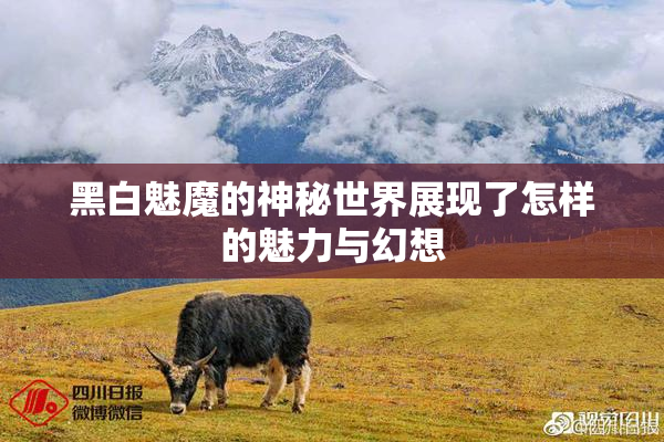 黑白魅魔的神秘世界展现了怎样的魅力与幻想