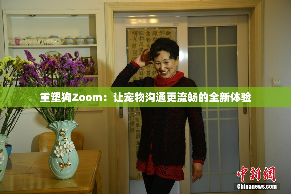重塑狗Zoom：让宠物沟通更流畅的全新体验