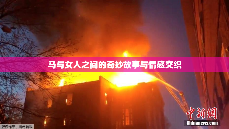 马与女人之间的奇妙故事与情感交织
