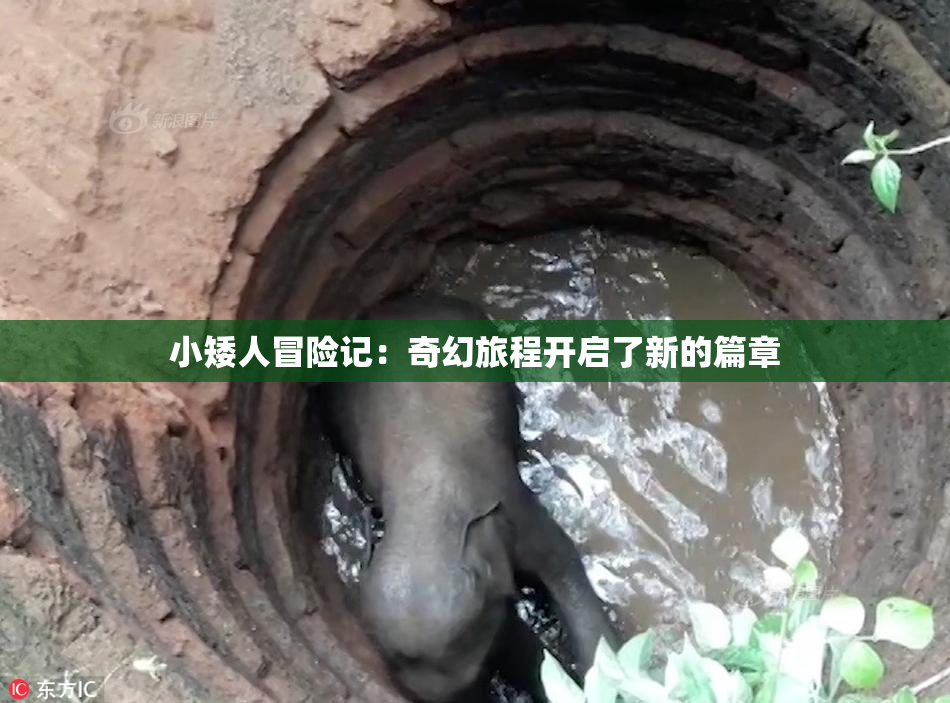 小矮人冒险记：奇幻旅程开启了新的篇章