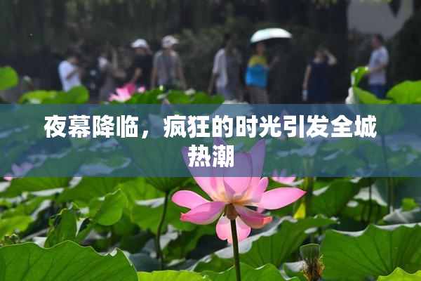 夜幕降临，疯狂的时光引发全城热潮