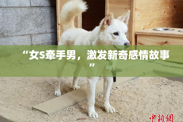 “女S牵手男，激发新奇感情故事”