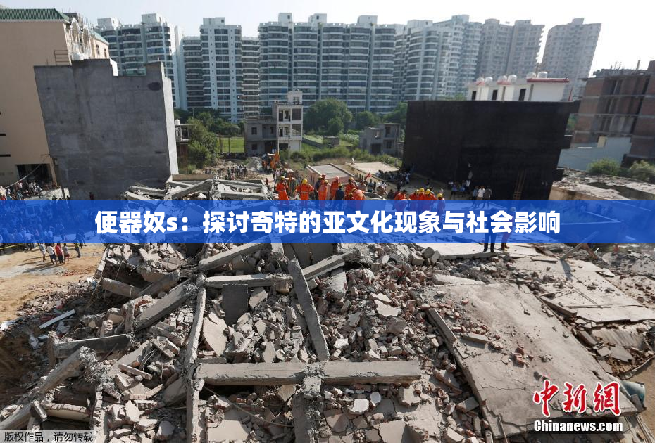 便器奴s：探讨奇特的亚文化现象与社会影响