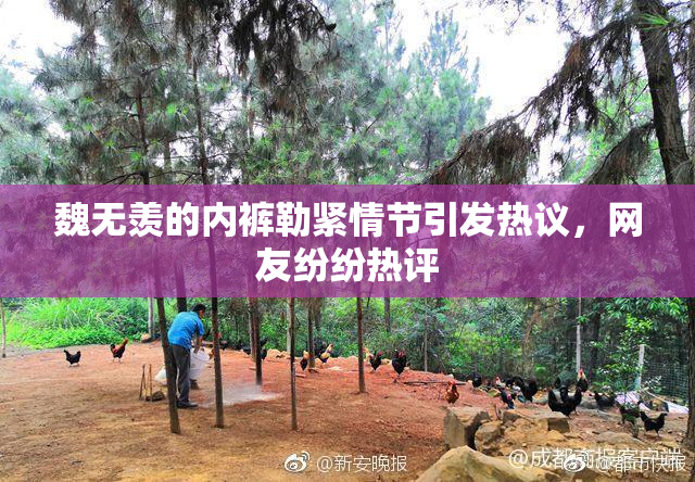 魏无羡的内裤勒紧情节引发热议，网友纷纷热评