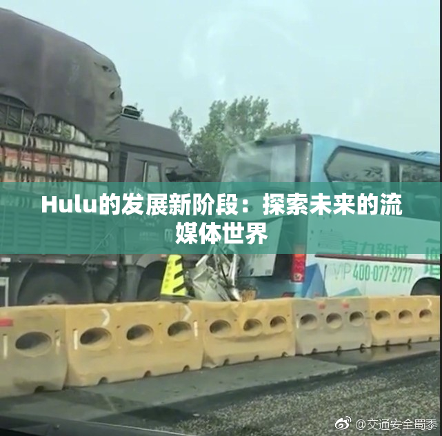 Hulu的发展新阶段：探索未来的流媒体世界