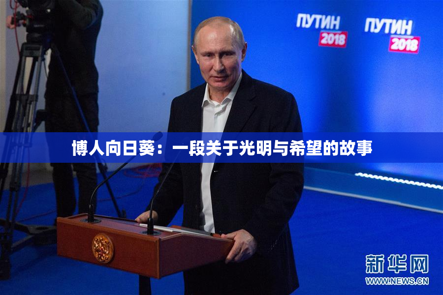 博人向日葵：一段关于光明与希望的故事