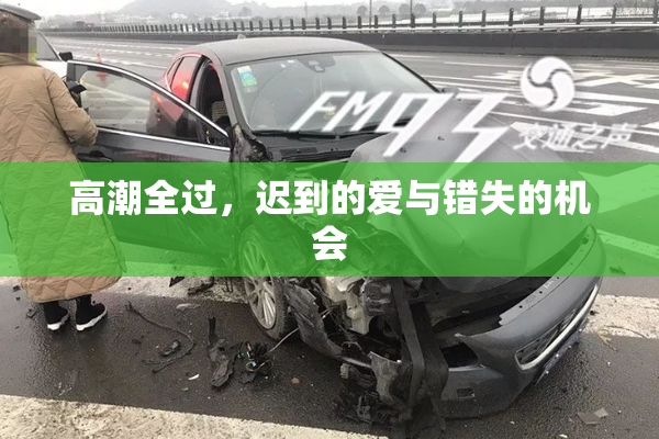 高潮全过，迟到的爱与错失的机会