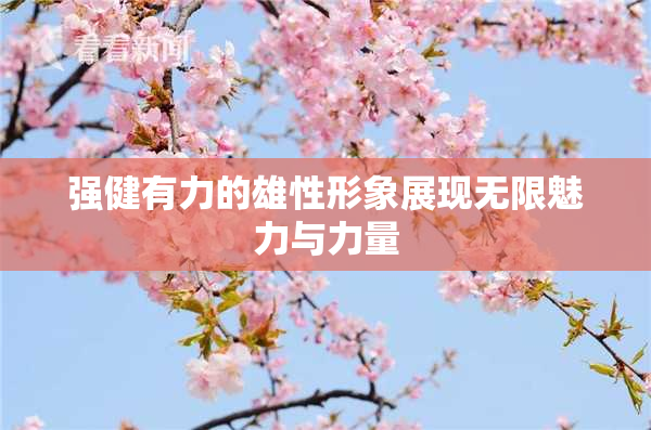 强健有力的雄性形象展现无限魅力与力量