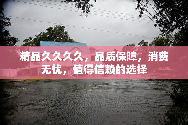 精品久久久久，品质保障，消费无忧，值得信赖的选择