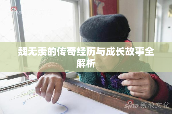 魏无羡的传奇经历与成长故事全解析