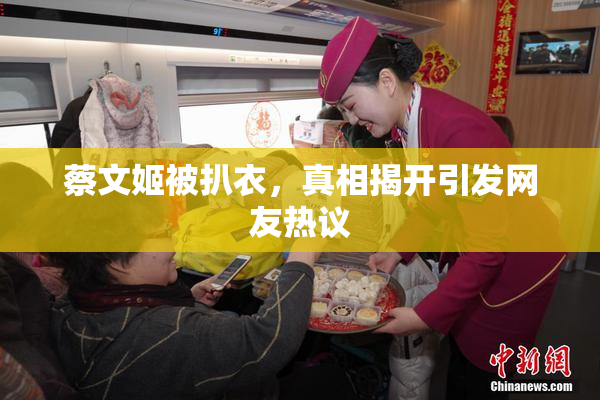 蔡文姬被扒衣，真相揭开引发网友热议
