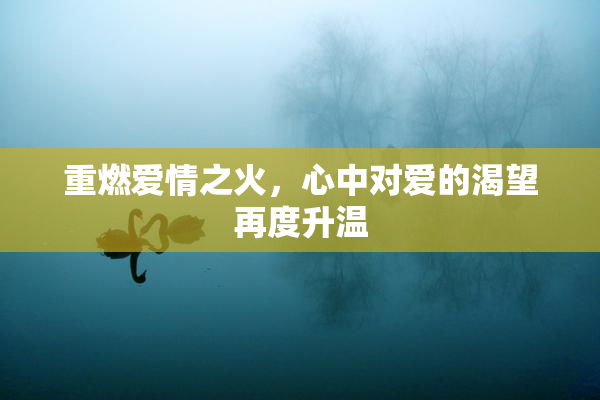 重燃爱情之火，心中对爱的渴望再度升温