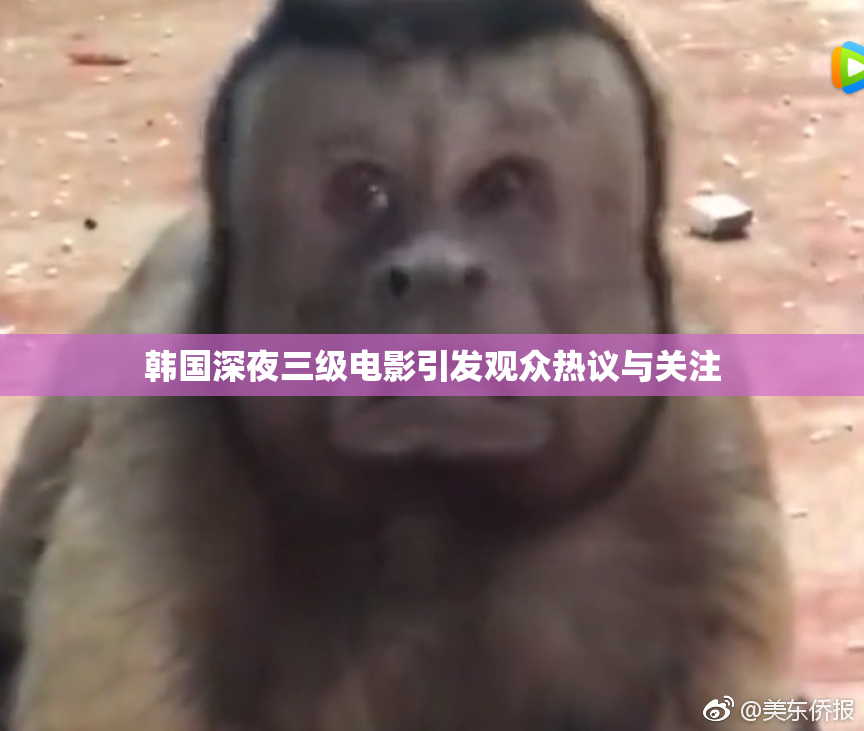 韩国深夜三级电影引发观众热议与关注