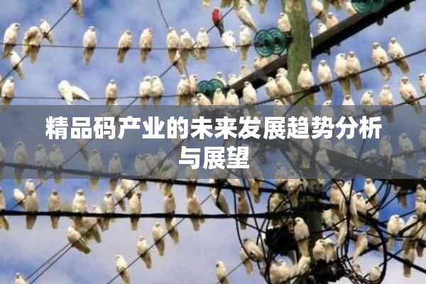 精品码产业的未来发展趋势分析与展望