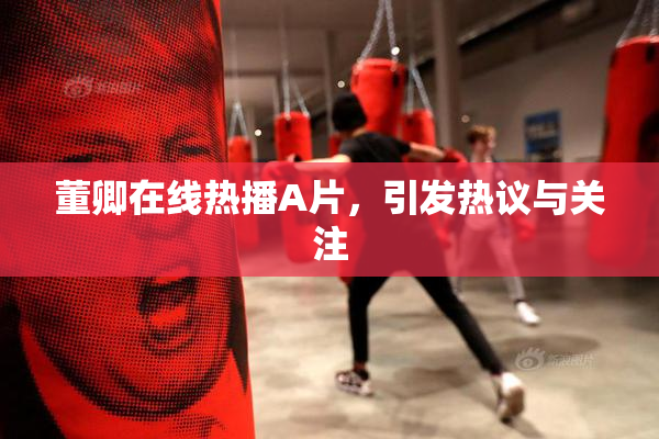 董卿在线热播A片，引发热议与关注