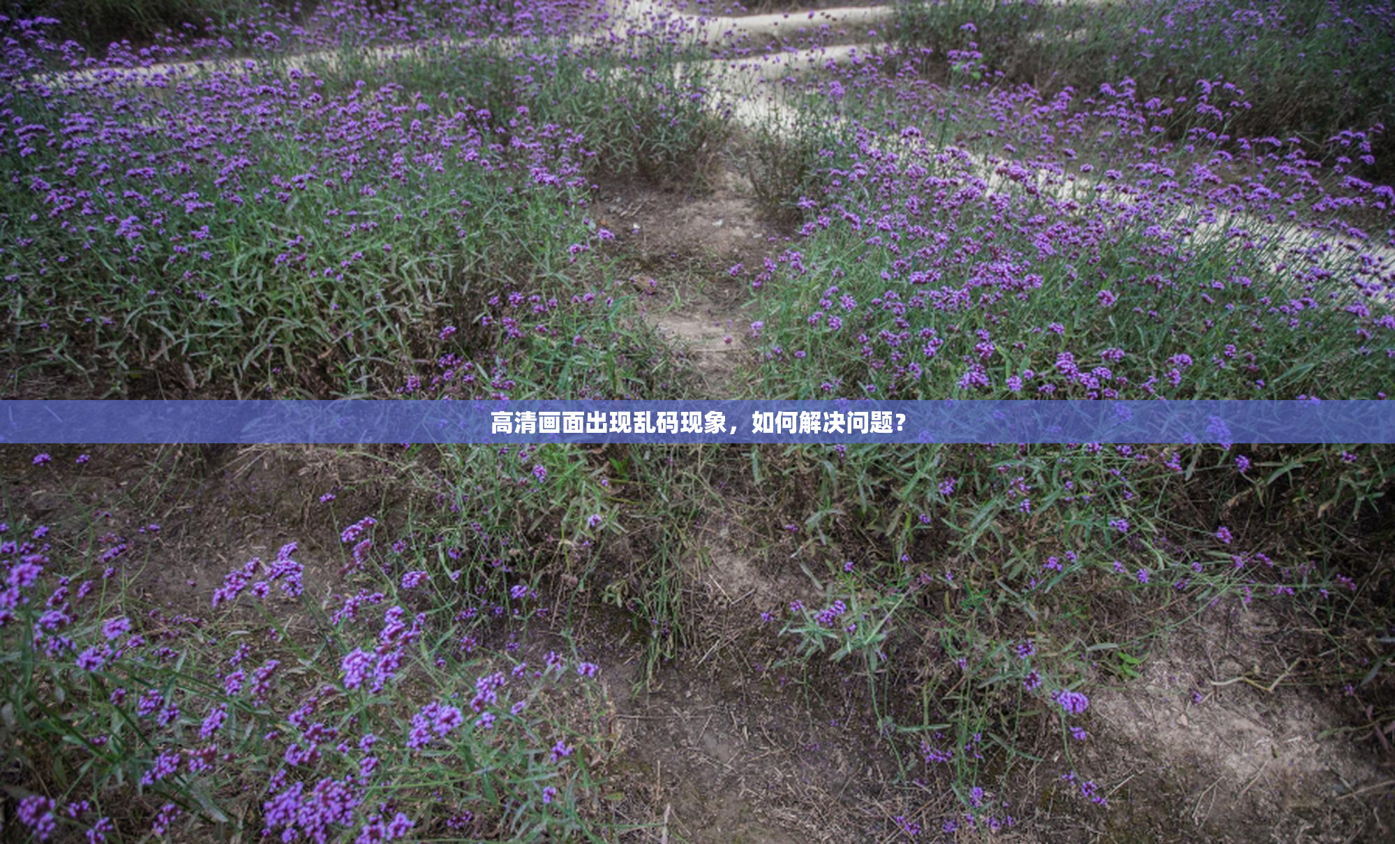 高清画面出现乱码现象，如何解决问题？