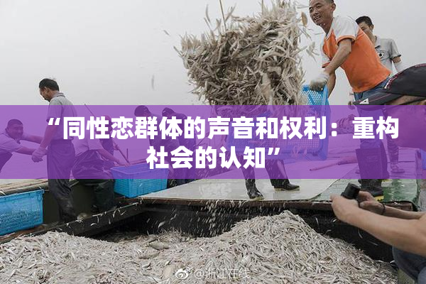 “同性恋群体的声音和权利：重构社会的认知”