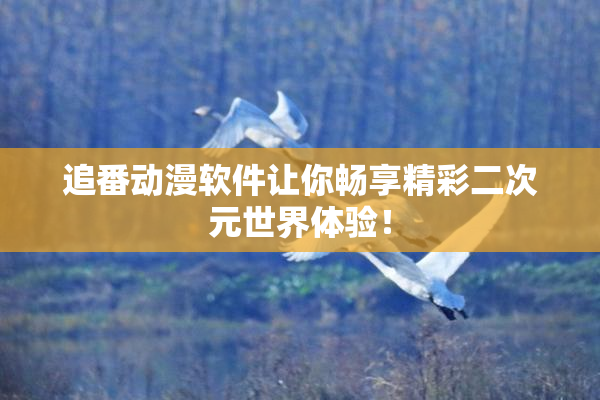 追番动漫软件让你畅享精彩二次元世界体验！