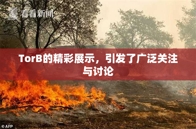 TorB的精彩展示，引发了广泛关注与讨论